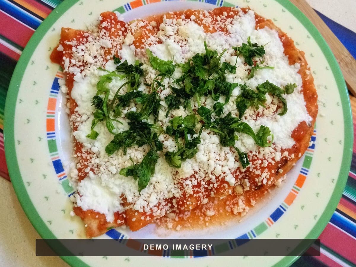 Enchiladas with red salsa, crema, and cheese — demo imagery