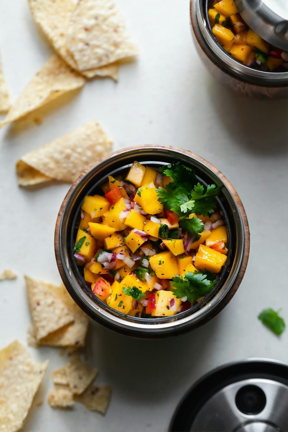 Bowl of fresh salsa with tortilla chips — demo imagery